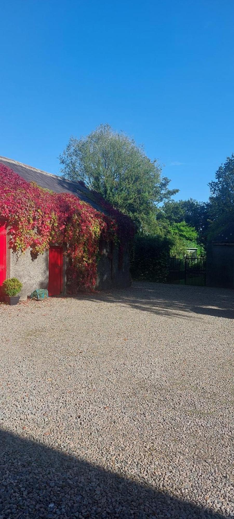 Dromore House Historic Country House 콜레인 외부 사진