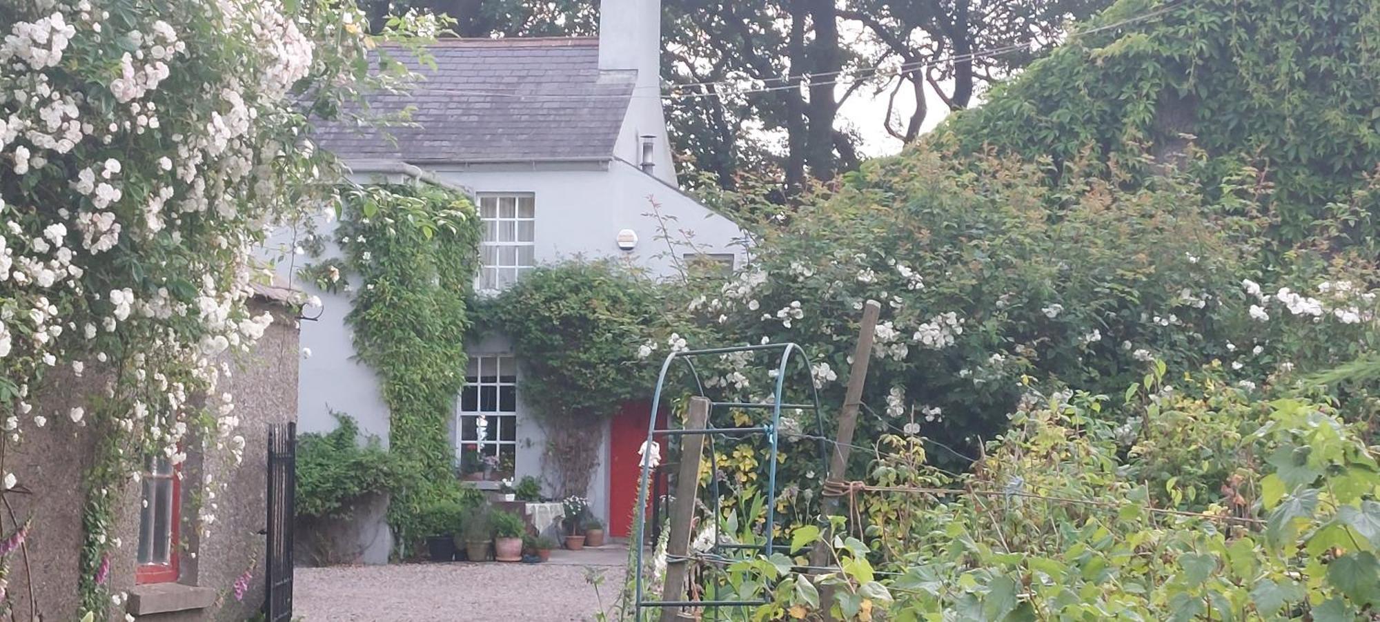 Dromore House Historic Country House 콜레인 외부 사진