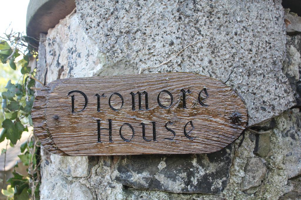 Dromore House Historic Country House 콜레인 외부 사진